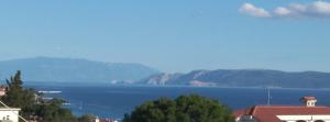 Apartman Mare 