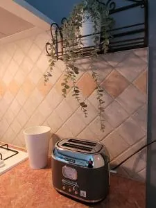 La maison aux iris - Pocé-sur-Cisse