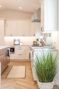 Enchanting Encinitas Oceanview Casita