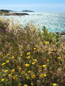 Appartement en face mer