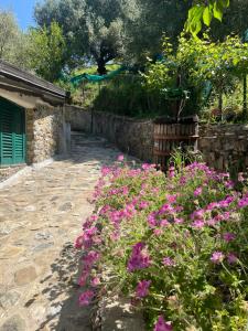 Casa vacanze Alfano