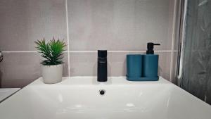 Apartment Zore