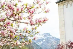 Apartment Marktschellenberg Berchtesgaden Salzburg 1 Zimmer - Marktschellenberg