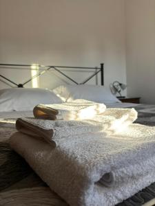 Casa Ronci - Centro Storico - Palacongressi Rimini