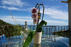 Petit coin de Paradis a cote de Monaco