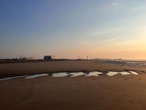 Appartements Retour de plage Wimereux : photos des chambres