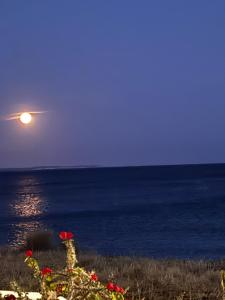 Blue Sea Villa & Apartments