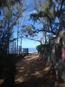 La Saline pieds dans l'eau - Le Bois de Nèfles