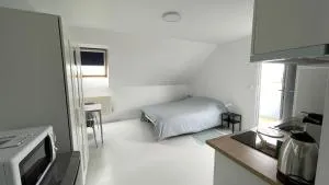 Studio indépendant clair et calme - 普勒默尔博杜