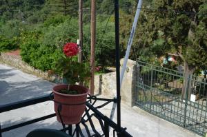 REPANTALIA Apartment