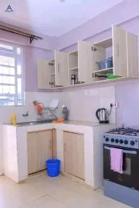 Arctic tern kerugoya - Gikuu