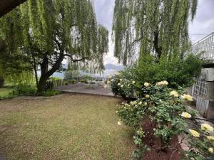 Mountain View Cottage Bhurban