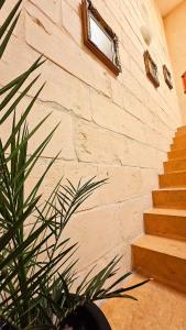 Traditional Farmhouse Central Gozo