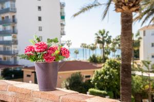 Blonzu Costa de Marfil