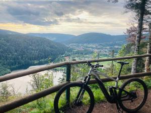 Appartements Le Perchoir du Grand Valtin - Gite 9 personnes - Altitude 830 : photos des chambres