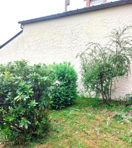 Appartements Lavignegite : photos des chambres
