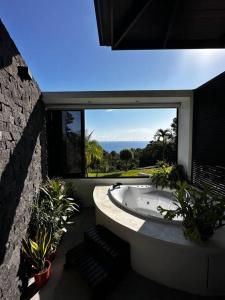 Casa Ventanas Matapalo Luxe Villa