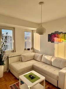 Modern & Stylish