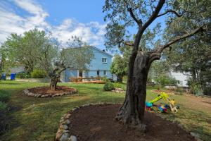 Luxury Apartment Niko