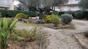 Appartements Agreable studio proche plages et commerces : photos des chambres