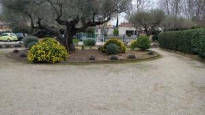 Appartements Agreable studio proche plages et commerces : photos des chambres