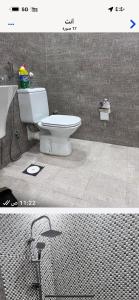 شقة نصف القمر