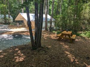 Timberline Lula - Site 5