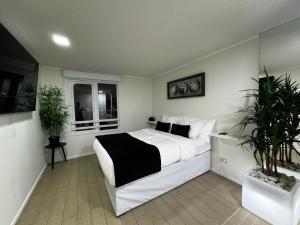 Céntrico y vista insuperable