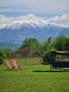 Căsuțe în mijlocul naturii - Wild Camp Avrig