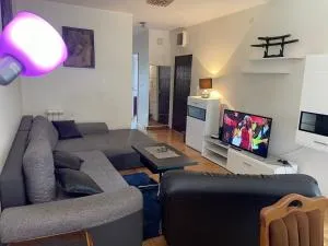 Ada Hill Residence - Senjak (historical)