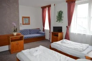 Hotel Peliny - 奥尔利采河畔乌斯季