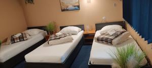 ZAJAZD ALBATROS Rzeszów APARTAMENTY SPA