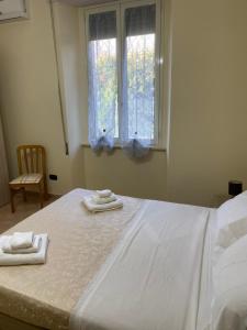 Lalbero di limoni sul mare di Pizzo