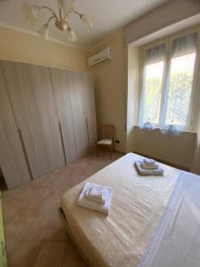 Lalbero di limoni sul mare di Pizzo