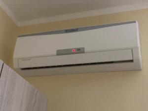 Lalbero di limoni sul mare di Pizzo