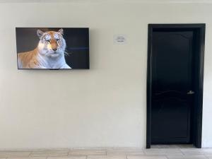 Tourits Logde 2 bedroom 2 badroom