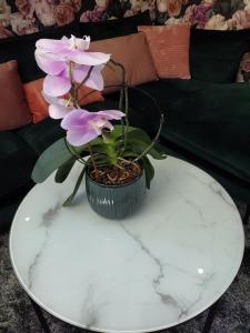 Appartements Mirka & Franck AIRCON Apartment Chic 4 Stars Parking Free, Garage & Wine with Avantages Pack : photos des chambres