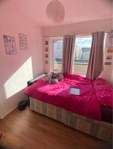 Lovely room in brighton