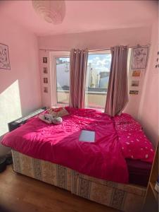 Lovely room in brighton