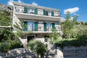 House Villa Danica on the hills - Srinjine