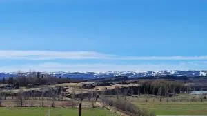 Bright appartment - Ásgeirsstaðir