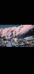 Appartements Appartement Duplex vue lac et montagne a Talloires : photos des chambres