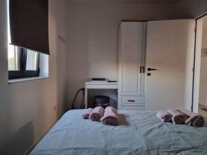 Luxury villa with a swimming pool Petrcane, Zadar - 22839