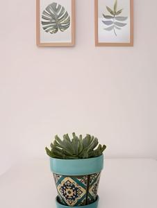 Enjoy VALLANhost @ Guatemala Trends Studios - 62