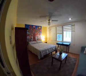 Neighbor of Frida Khalo, vintage stay in Coyoacán - Prado Churubusco