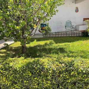 Casa Bonita Con Palapa