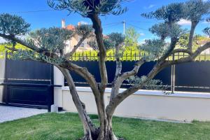 Villas Villa l-Olivier - Tournon sur Rhone : photos des chambres