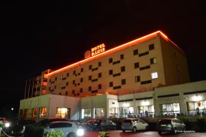 Hotel D. Luis