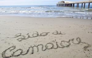 3 Bedroom Lovely Home In Pietrasanta