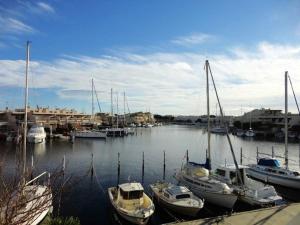 Studio avec piscine, parking et terrasse à Port Camargue - FR-1-307-262